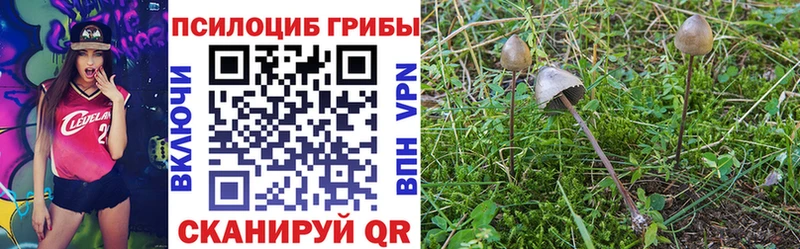 Купить где  Палласовка  Галлюциногенные грибы Psilocybine cubensis 